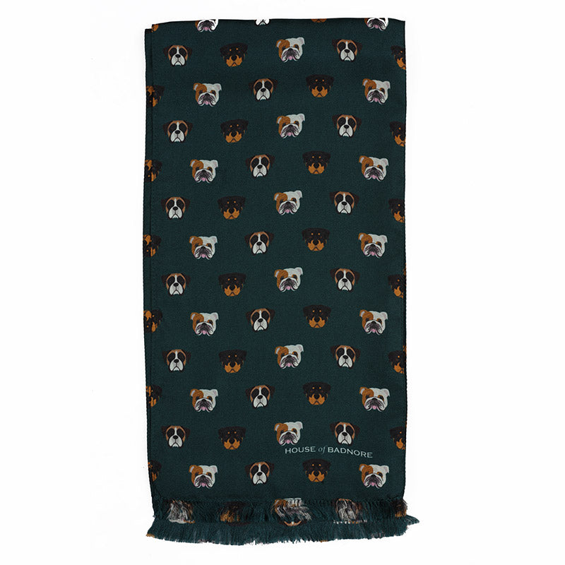 Brutus & Co Pocket Square & Ascot Scarf Set