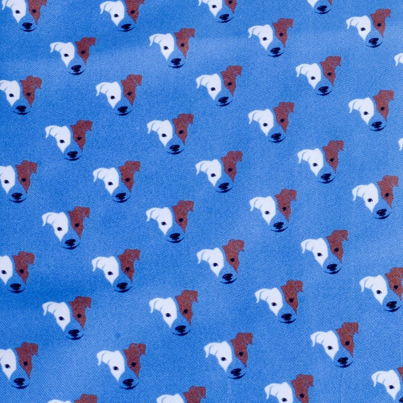 Rufus Pocket Square