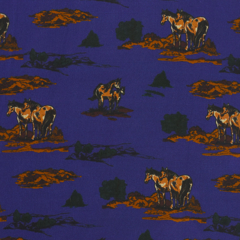 Ranch Pocket Square